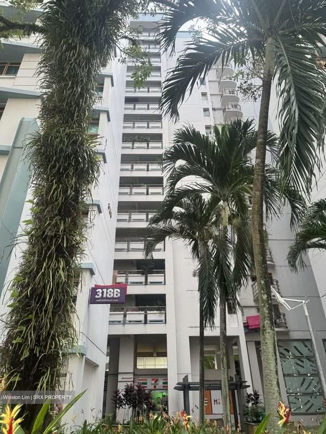 Blk 318B Anchorvale Link (Sengkang), HDB 5 Rooms #582779211